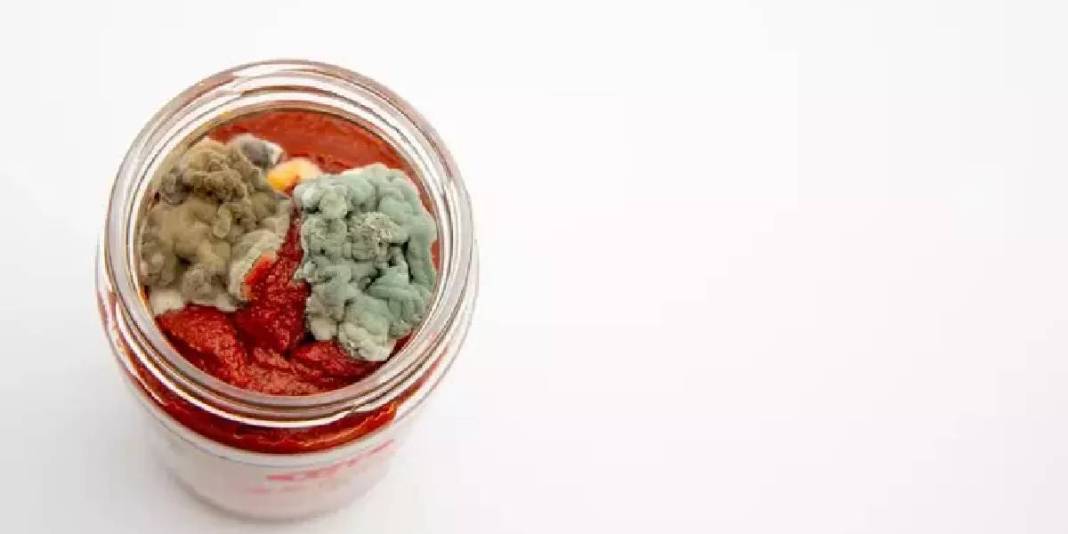 Bunu uygulayın, kavanozu açtığınızda küf görmeyin! Anneler yıllardır uyguluyor: Salçada küften eser kalmıyor 4